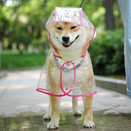 Imperméable transparent pour chien