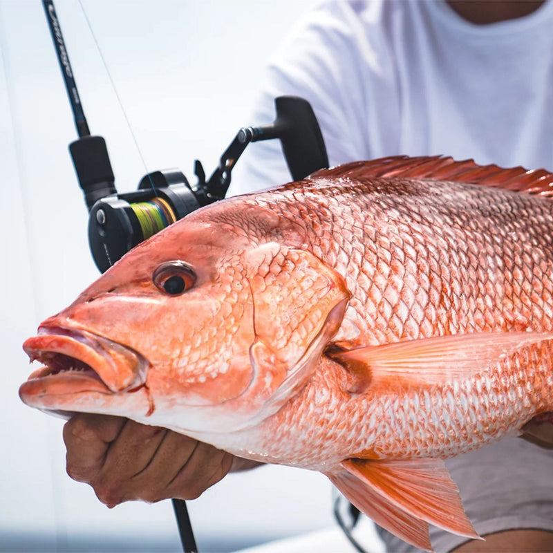 Saltiga 15 Conventional Jigging Reel