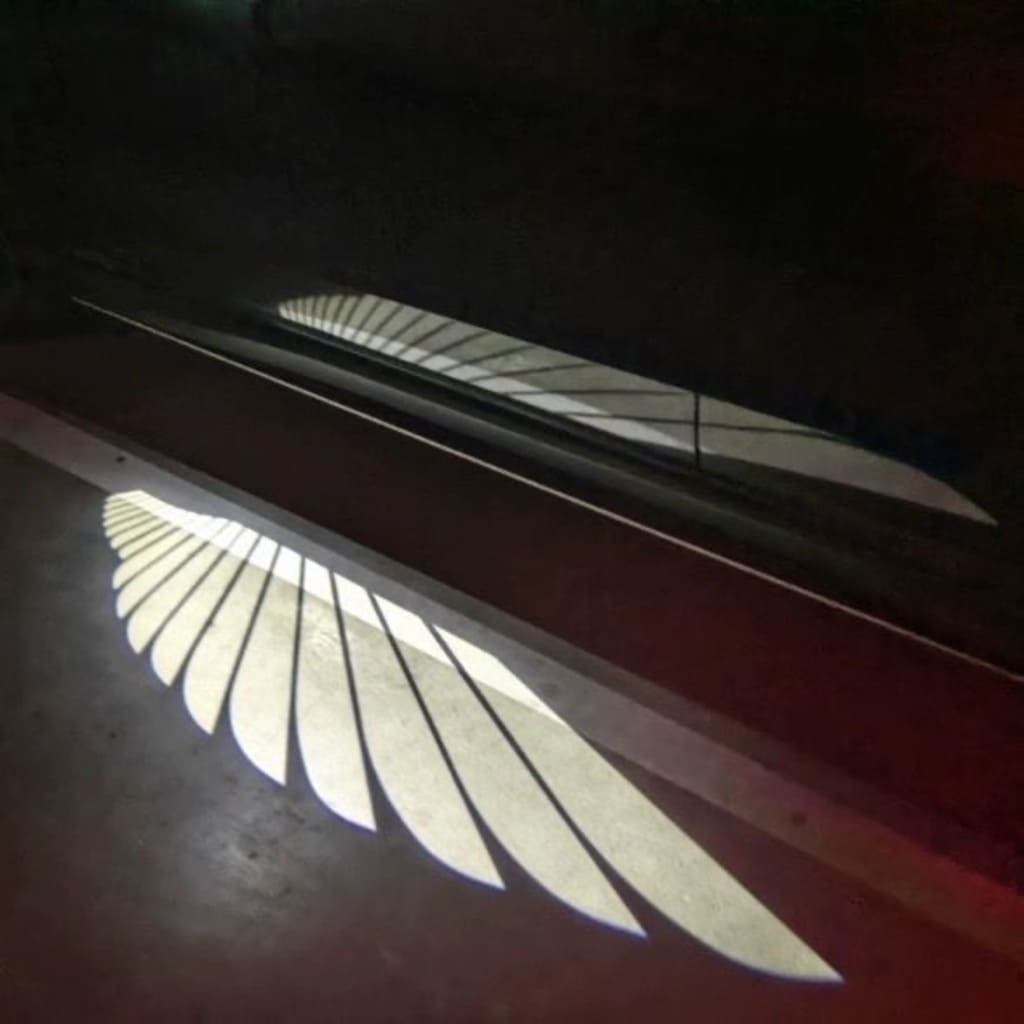 Angel Wings Puddle Lights Exclusive for Ford
