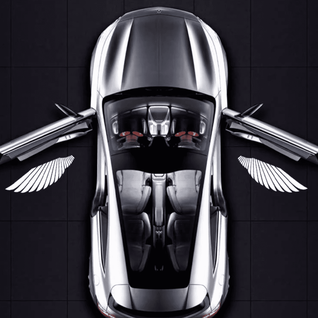 Angel Wing Car Door Lights