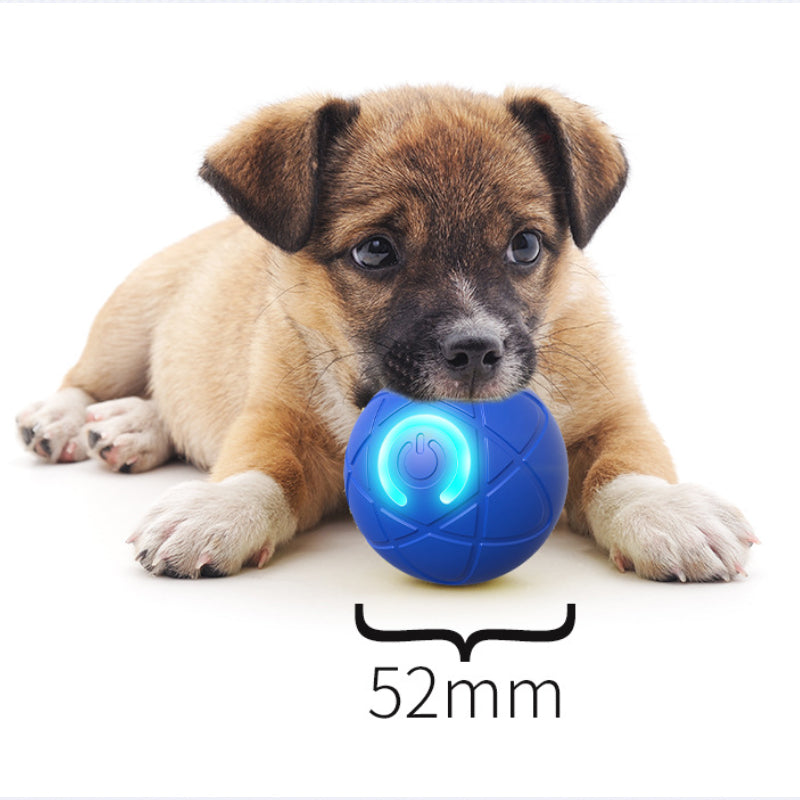 Interactive Pet Ball Toy for Cats & Dogs – Automatic & Remote-Controlled
